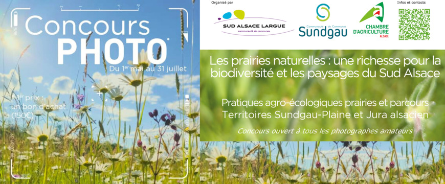 Participez au concours Photo !