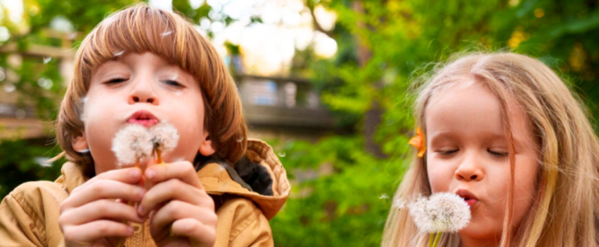 Animations enfance jeunesse